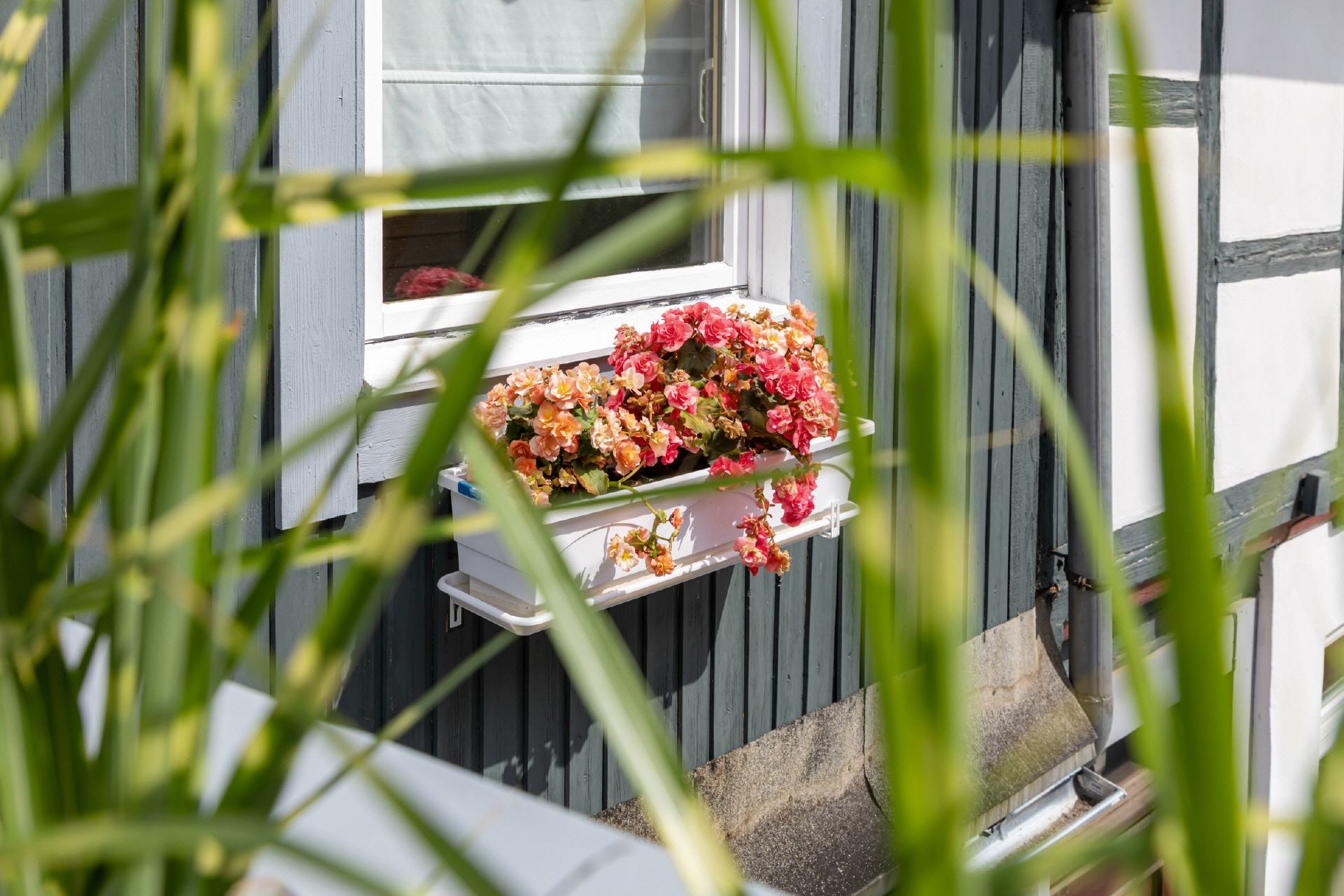 Sommer geniessen